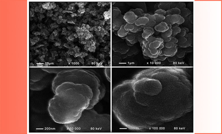 Synthesis and characterization of carbon xerogels and MnO2 as electrode materials for energy storage